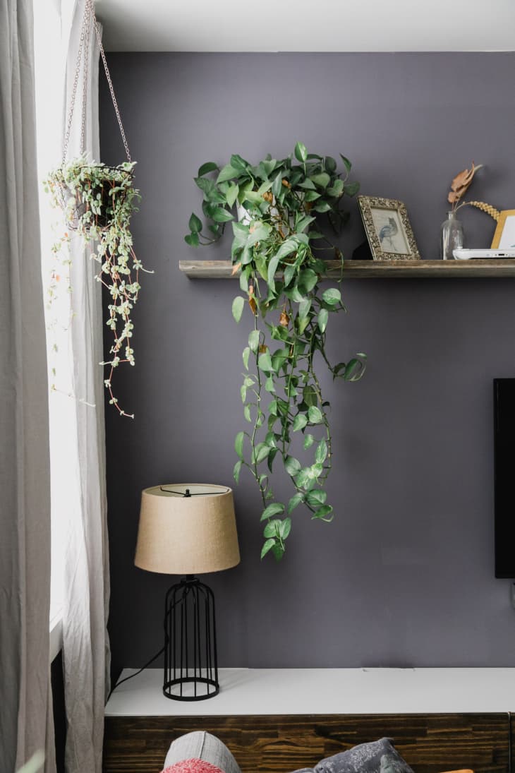 Purple gray paint hot sale